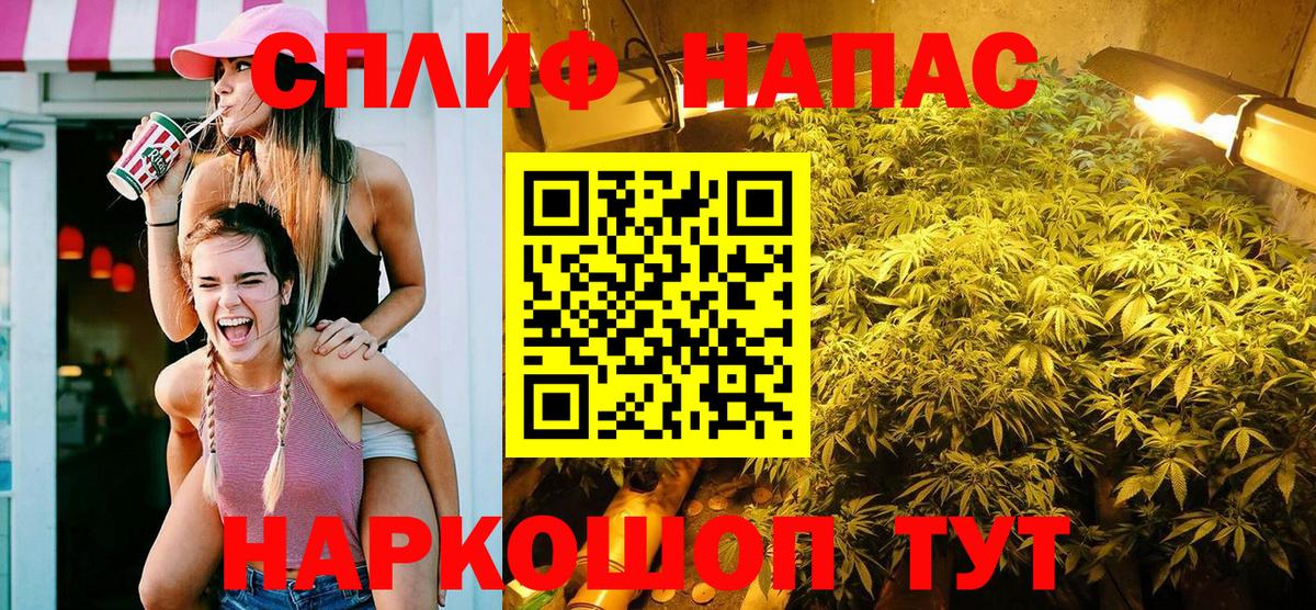 Бошки марихуана Amnesia Чита